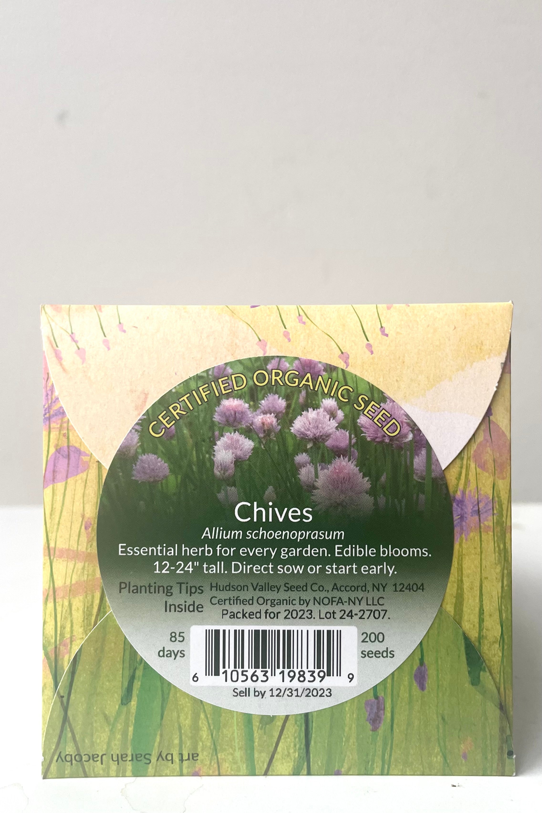 A back view of Chive Seeds Art Pack against white backdrop