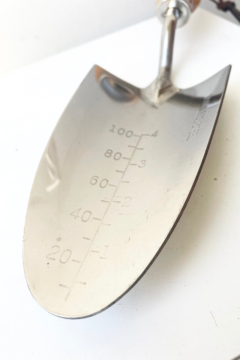A detailed view of the blade of Hand Trowel featuring measurements against white backdrop