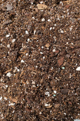 A detail picture of potting mix as wallpaper. 