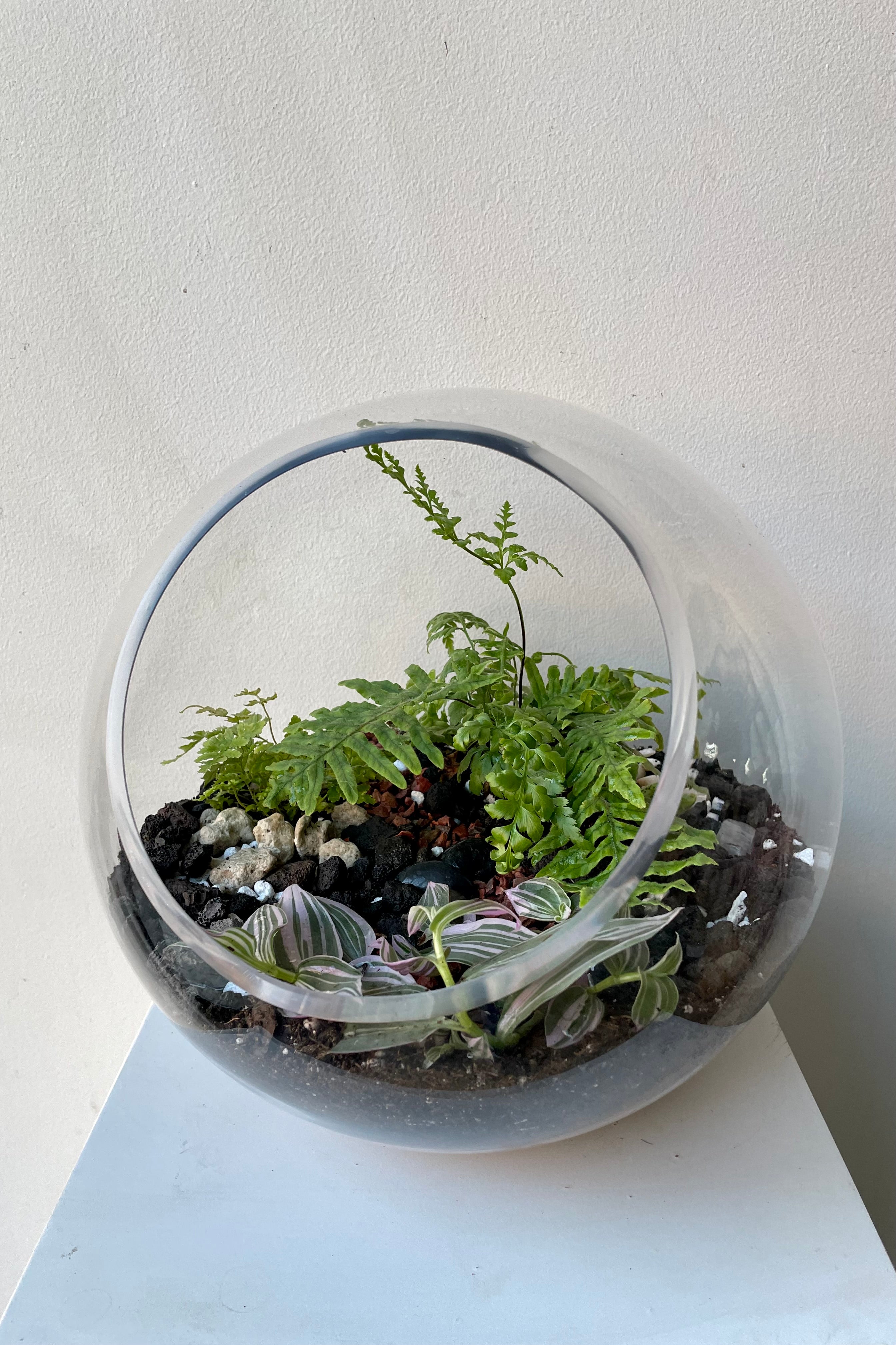 Foliage Hurricane terrarium by Sprout Home. #style_foliage