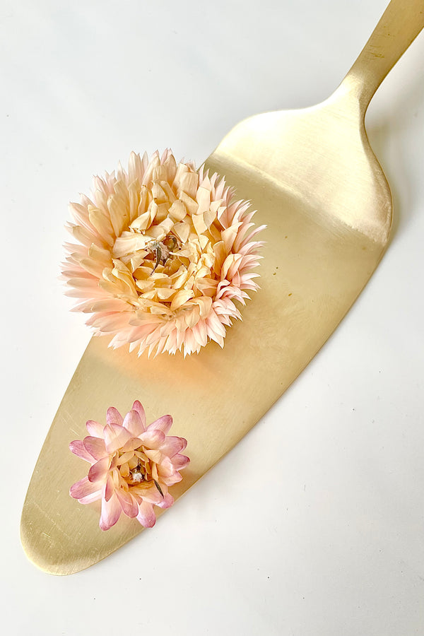Detail of Cake Server brass with dried floral on top against a white background