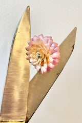Fog Linen Work brass and steel large scissors open with a dried flowers in between the blades on a white surface