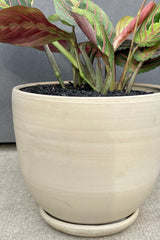 Detail of white bare clay pot with saucer