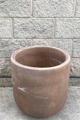 A slightly overhead view of Dora Planter Large against concrete backdrop