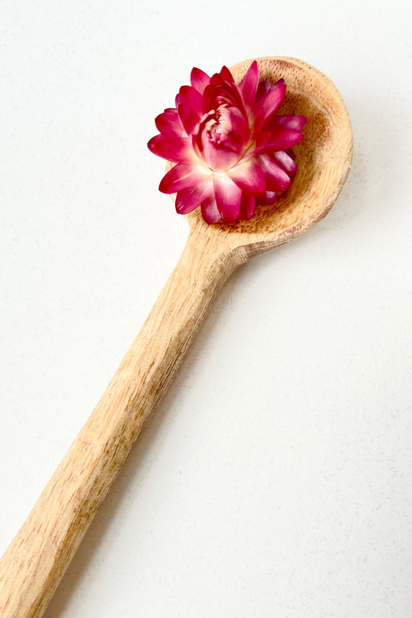 detail of the Mango Wood Spoon, 17cm with two pink dried flowers in the spoon against a white bavkground