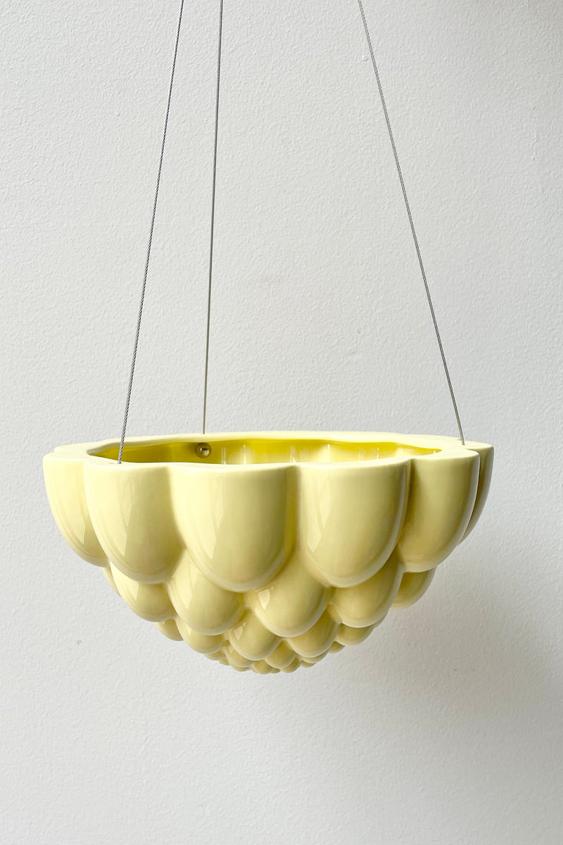 Yellow hanging jelly planter against a white wall. 