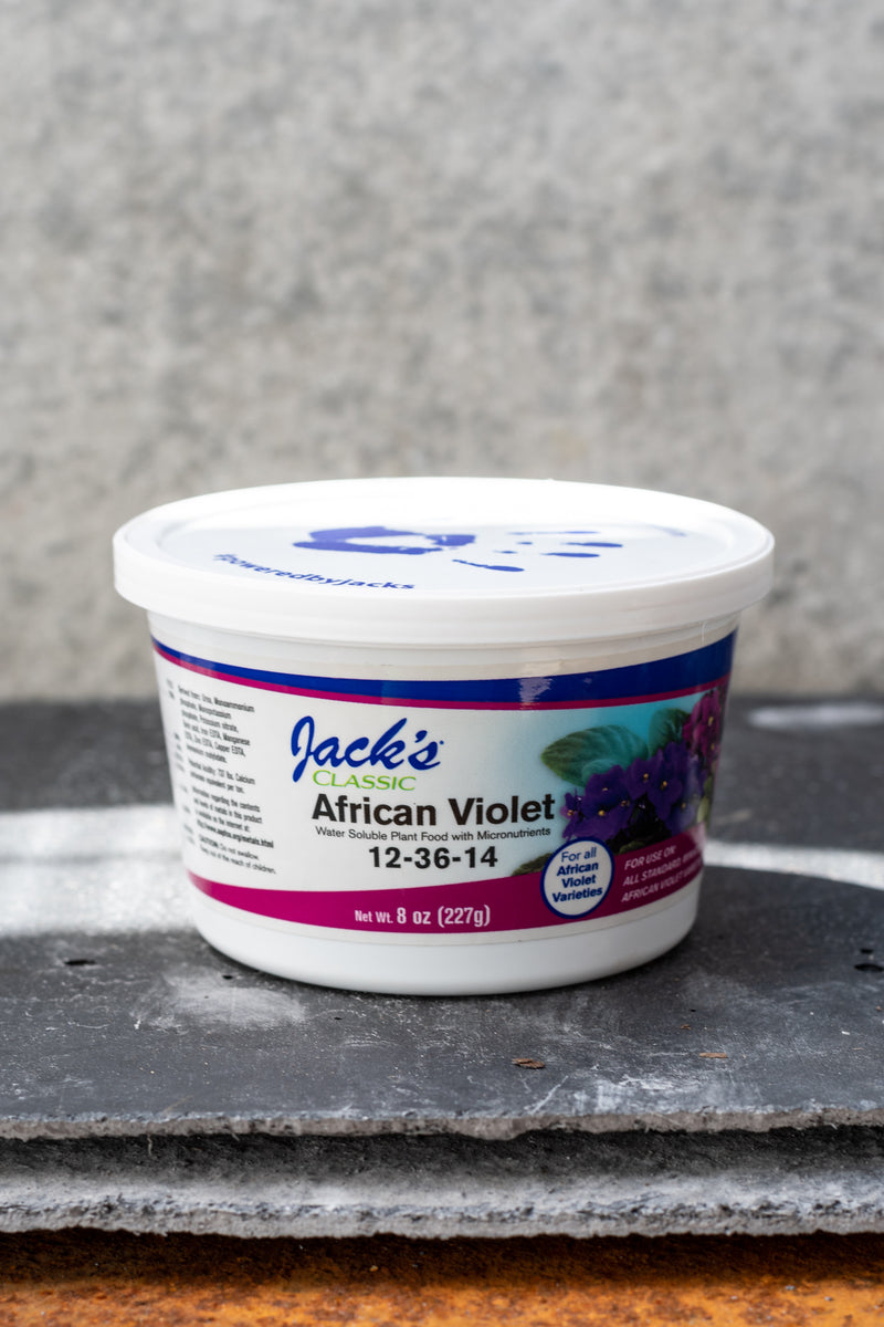 Jack's African violet Food in its name brand jar against a grey wall. 