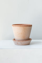 Rosa 3.9 inch Julie Pot by Bergs Potter on a white surface in a white room