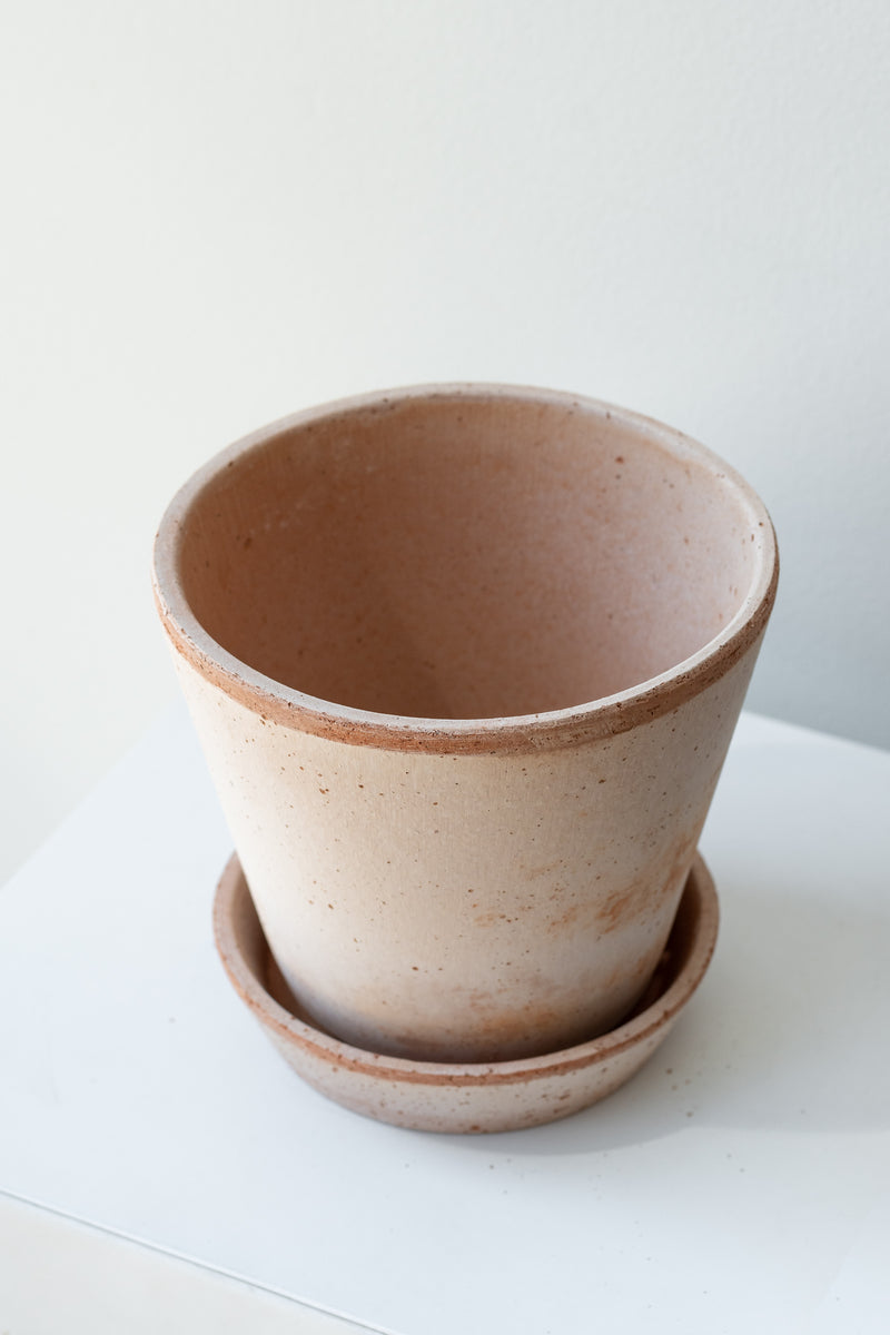 Rosa 5.5 inch Julie Pot by Bergs Potter on a white surface in a white room