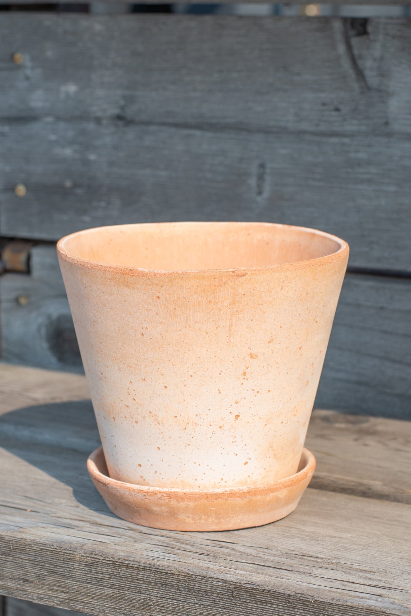 Bergs Potter Julie Pot & Saucer rosa 6.7” in front of grey wood background ©Sprout Home