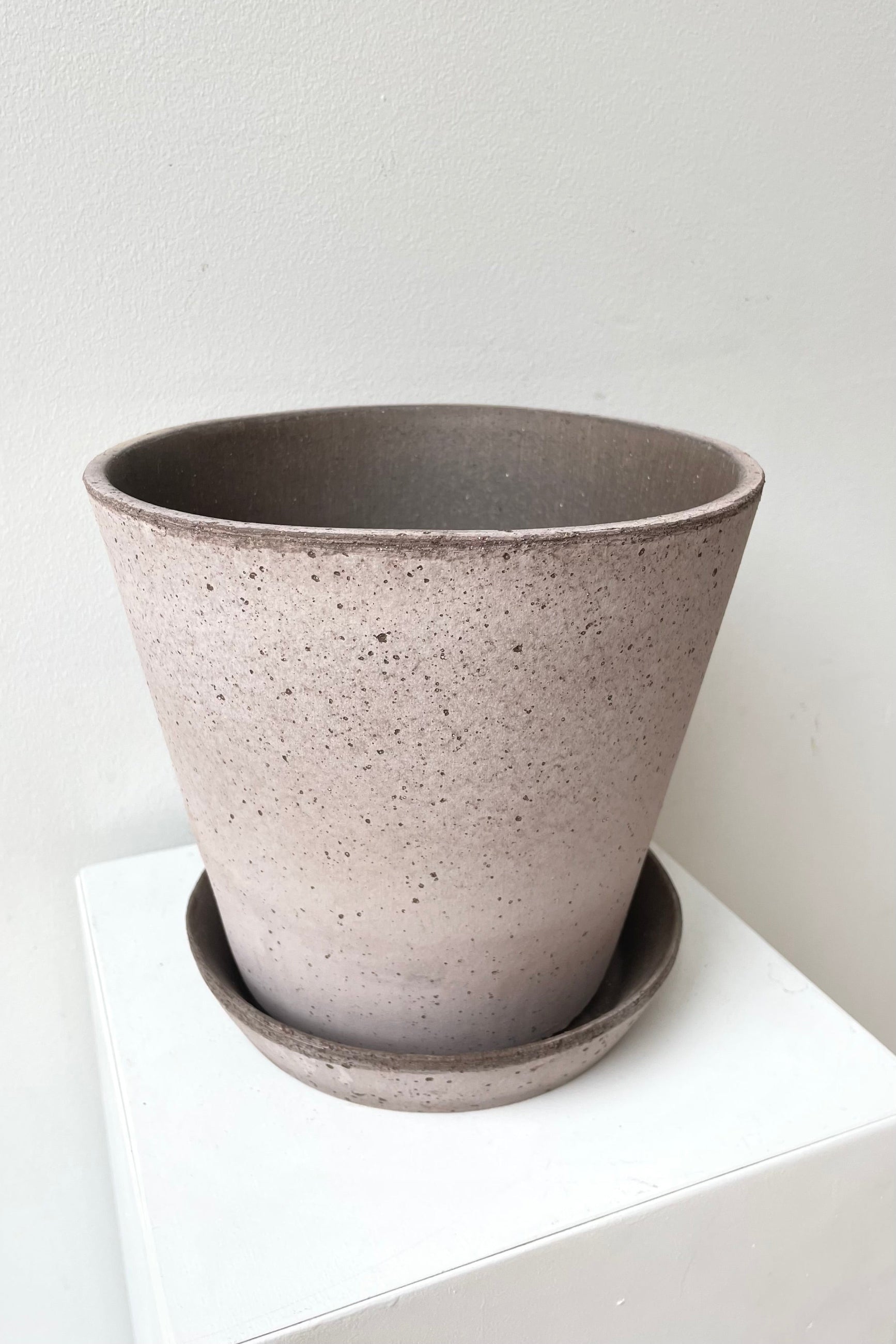 detail of the top of Julie Pot & Saucer grey 8.3” against a white wall ©Sprout Home