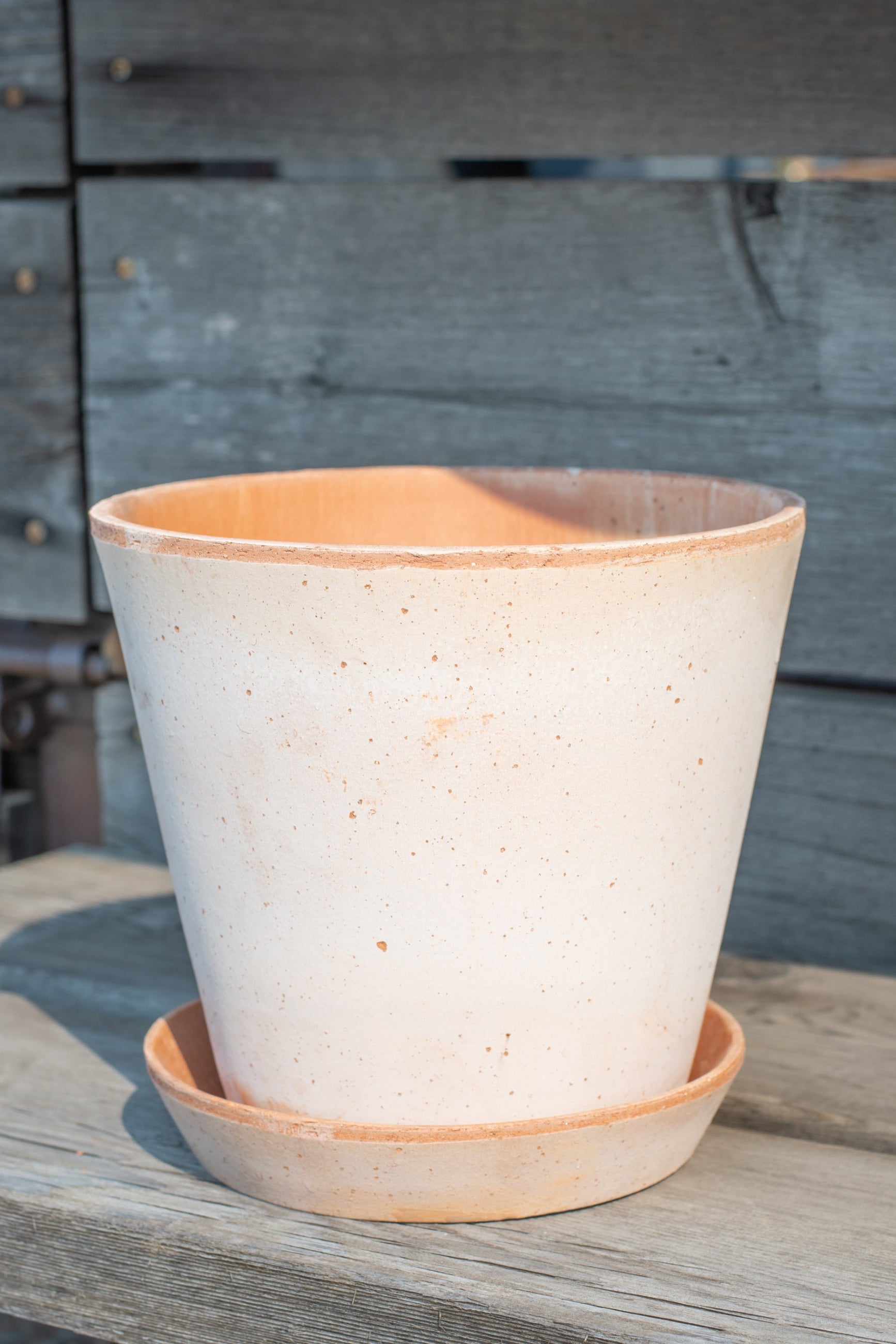 Bergs Potter Julie Pot & Saucer rosa 8.3” in front of grey wood background ©Sprout Home