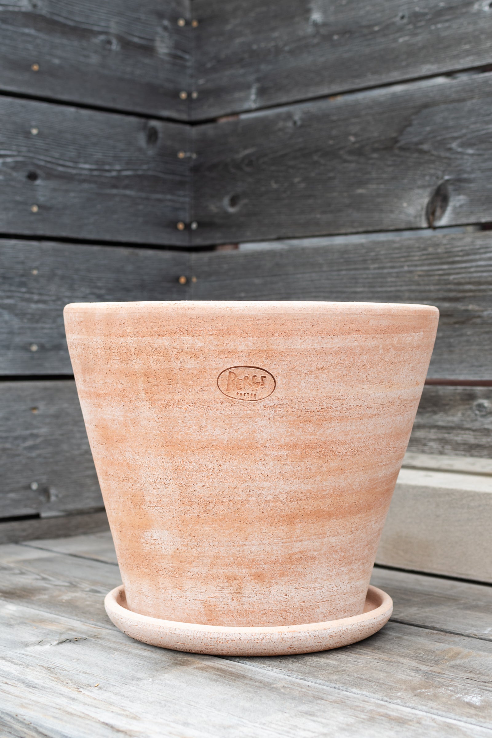 Julie Pot & Saucer Rosa 13.8”