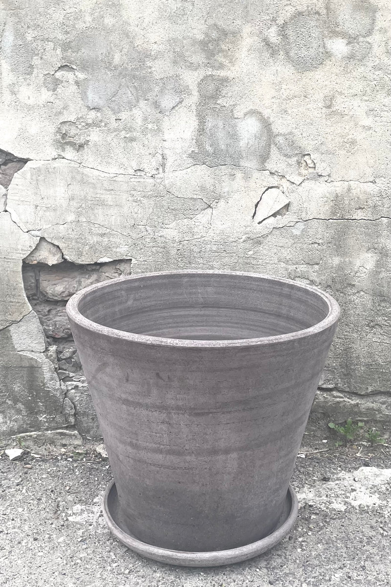 A full frontal view of Julie Pot & Saucer grey 17.7" against concrete backdrop