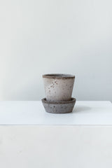 Grey 2.4 inch Julie Pot by Bergs Potter on a white surface in a white room