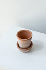 Rosa 2.4 inch Julie Pot by Bergs Potter on a white surface in a white room