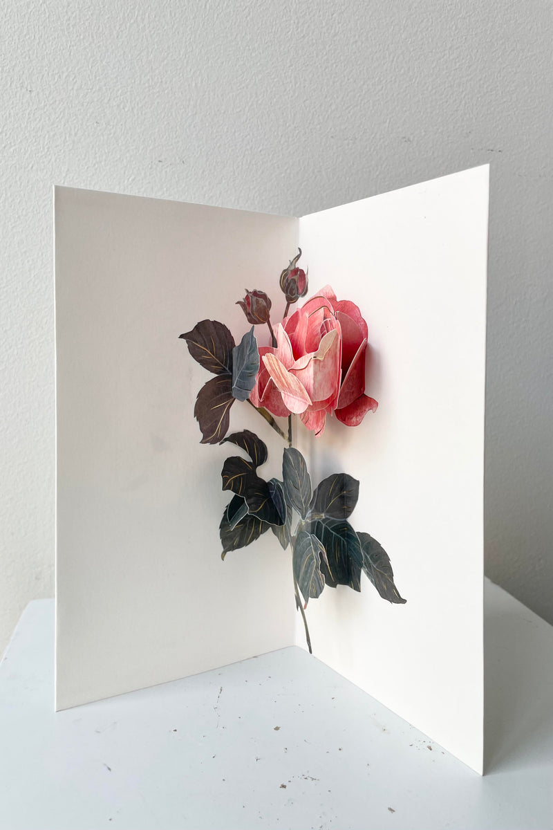 The Rose Pop-up Card rests against a white backdrop.