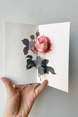 A hand holds the Rose Pop-up Card open.