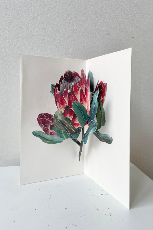 The Protea Pop-up Card sits against a white background.