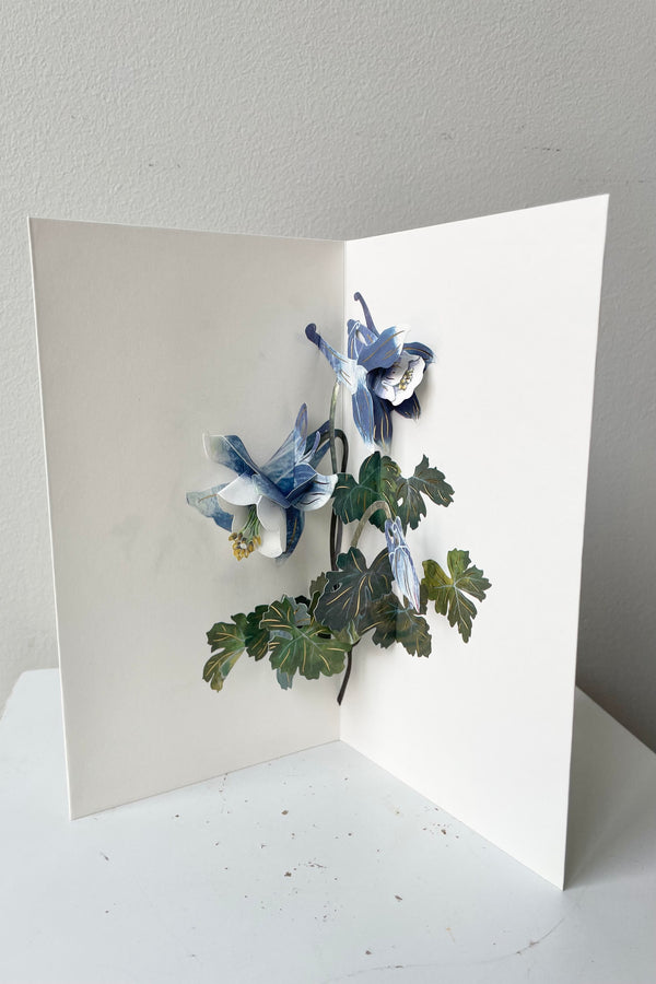 The Columbine Pop-up Card stands against a white backdrop