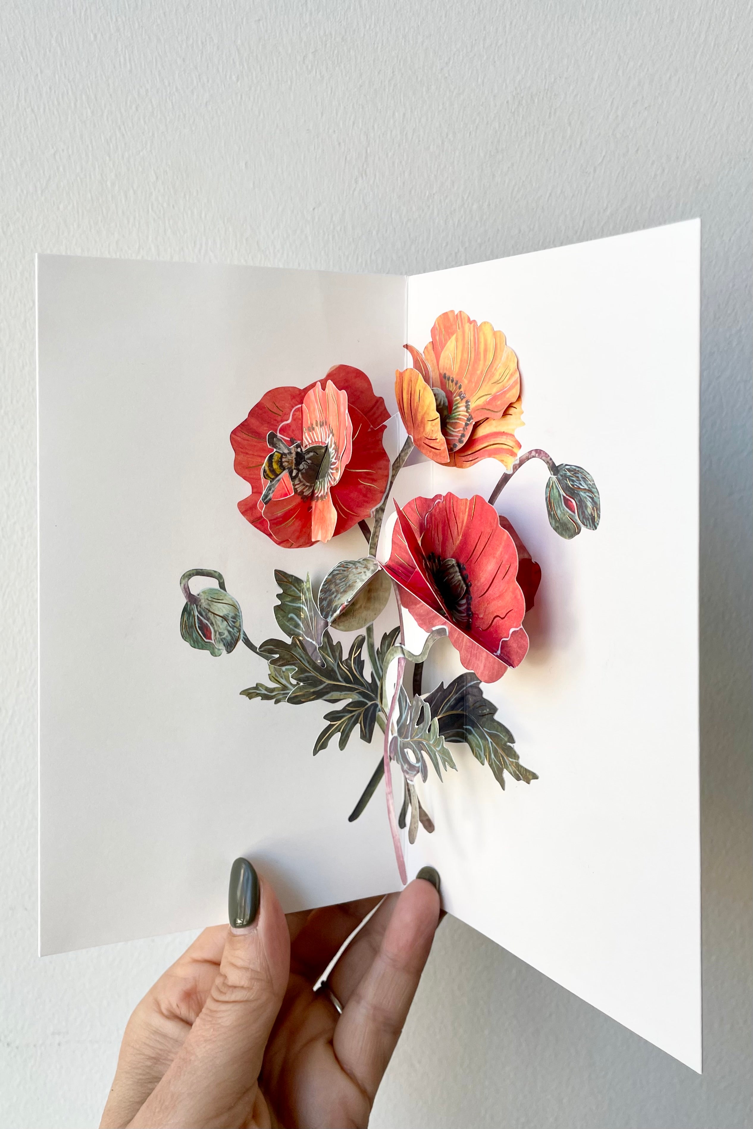 Poppies Pop-up card being held partially open to see the poppies unfolding.