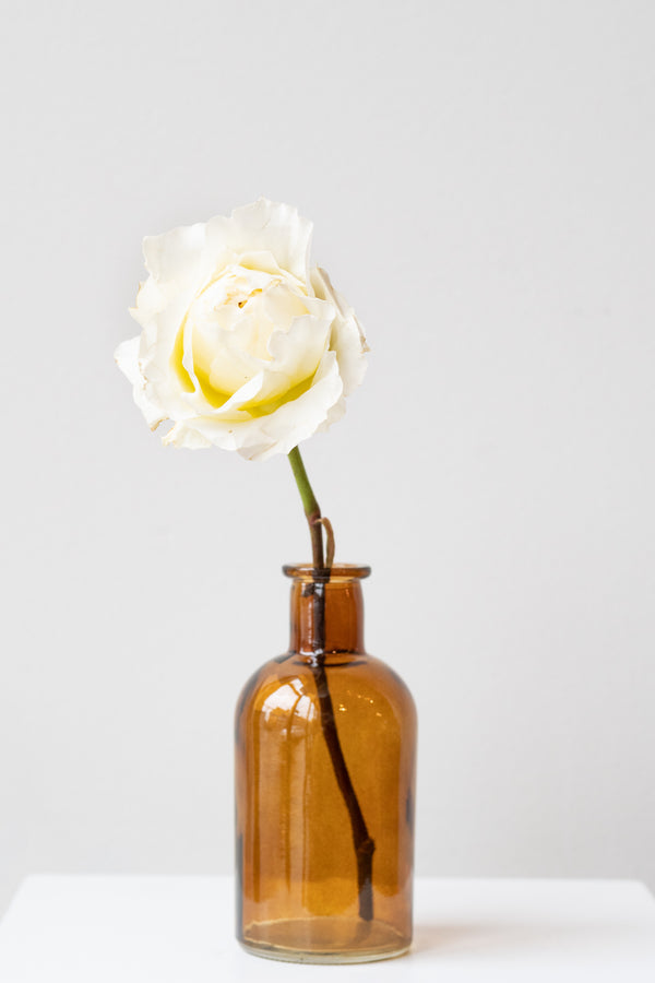 Amber medicine glass bud vase in front of white background. Inside the vase is a single white rose
