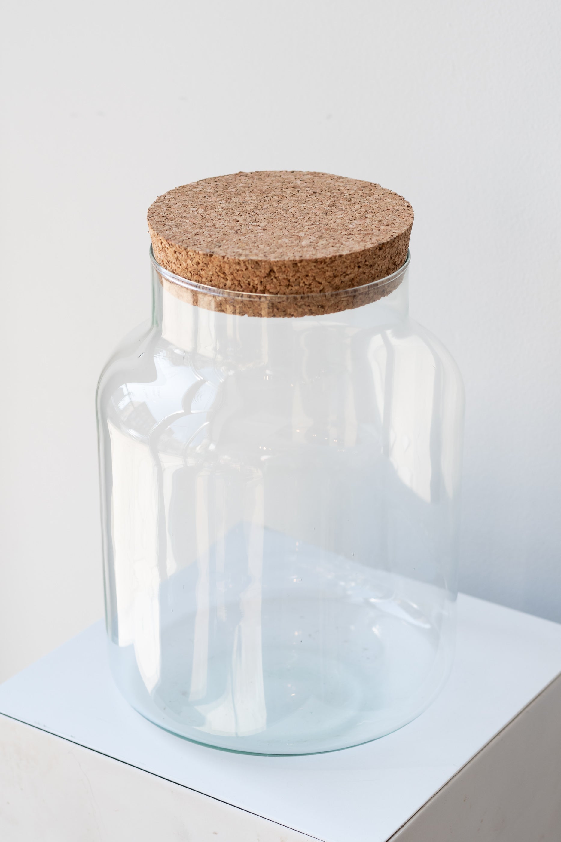 Chela Terrarium Vessel medium