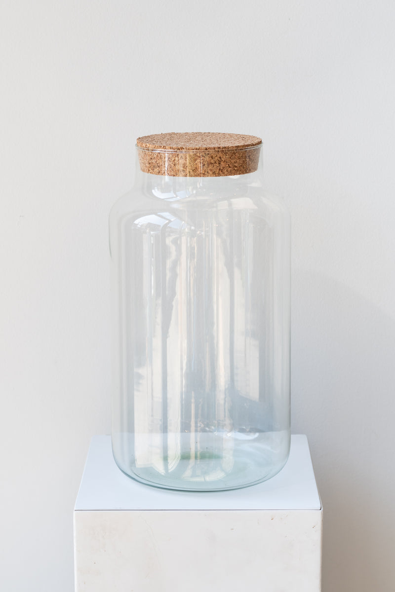 Where can I buy large glass containers for a terrarium like the