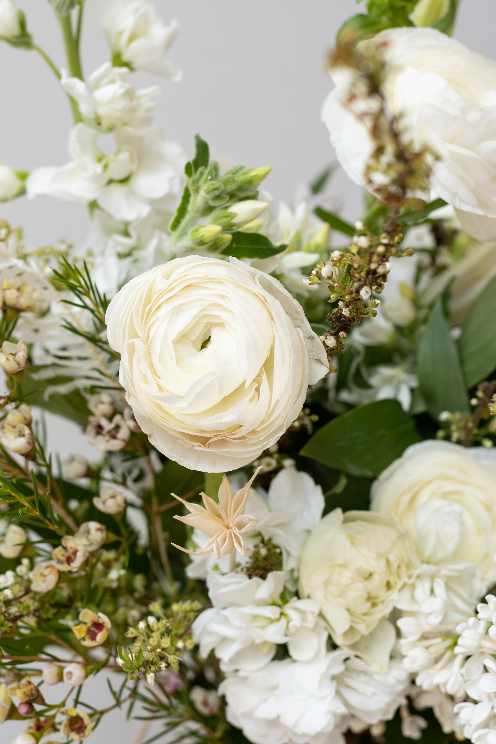 a detail of flowers in a Bleached custom arrangement by Sprout Home ©Sprout Home #size_PLP