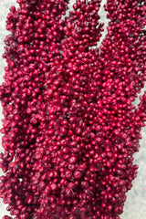 Detail picture of burgundy colored Milo berry bunch