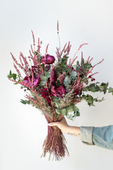 Largest Nightcap dried preserved floral arrangement by Sprout Home held in front of a white background