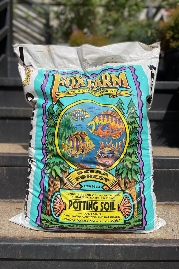 A 1.5 cubic foot bag of FoxFarm Ocean Forest potting soil showing the front graphic design on the bag in the Sprout Home yard.