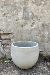 Mini Orb Pot Grey Washed Large against a grey wall