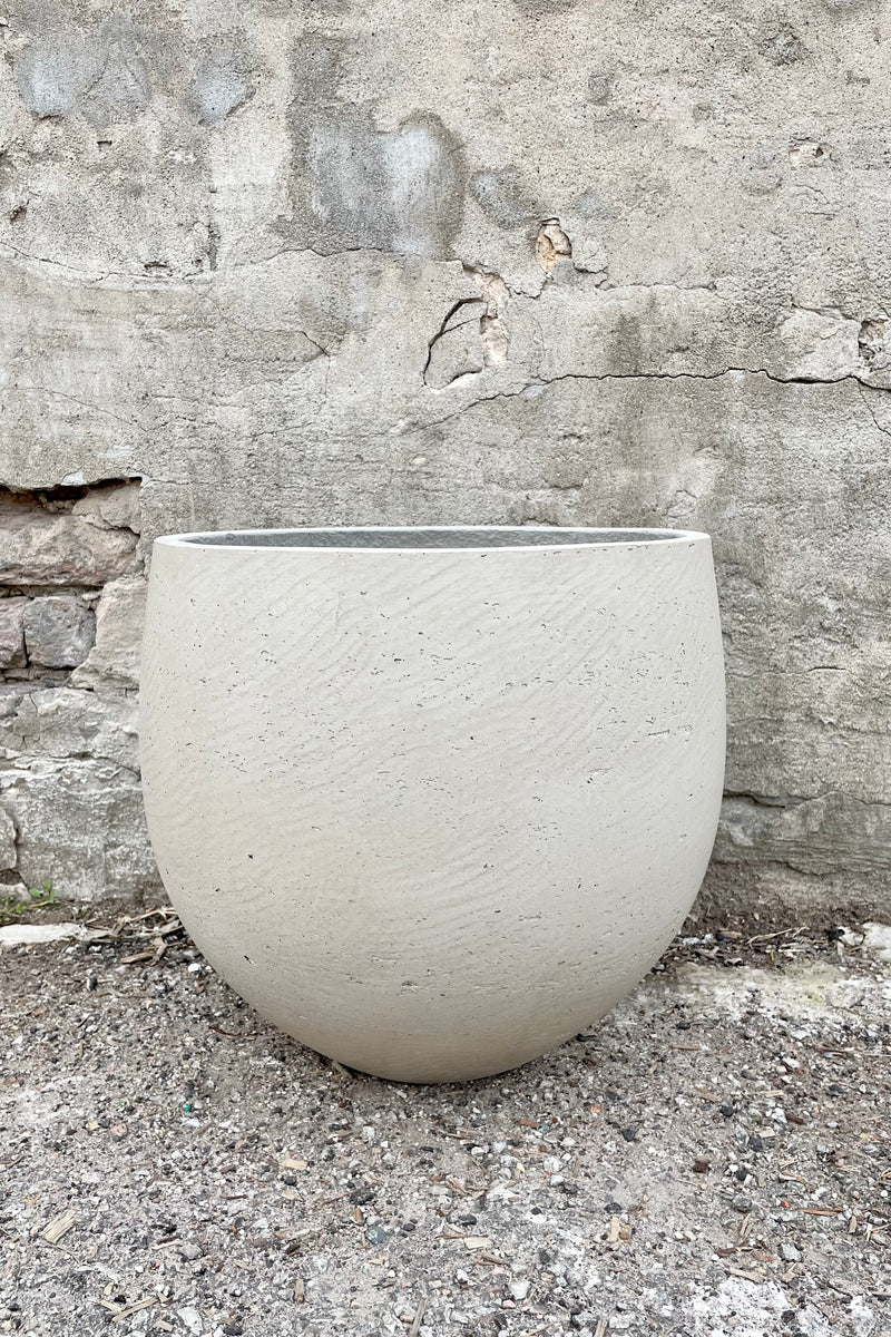 Mini Orb Pot Grey Washed Extra Large against a grey wall