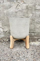 Charlie Pot & low stand grey washed large against a grey wall