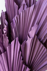Close up of preserved purple dried palm spears against a white wall