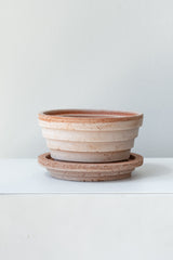 Rosa 4.7 inch Planets Pot by Bergs Potter on a white surface in a white room