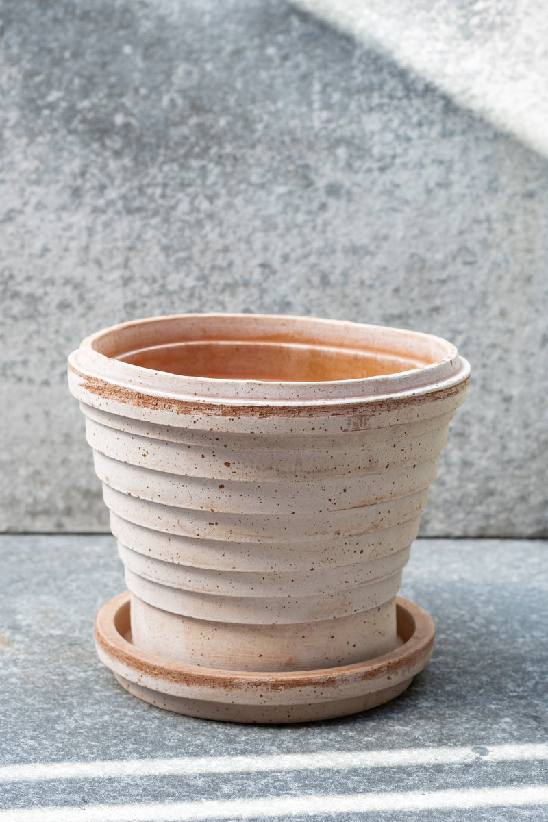 Rosa 8.3 inch Planets pot by Bergs Potter sits on a grey surface outdoors with a grey background