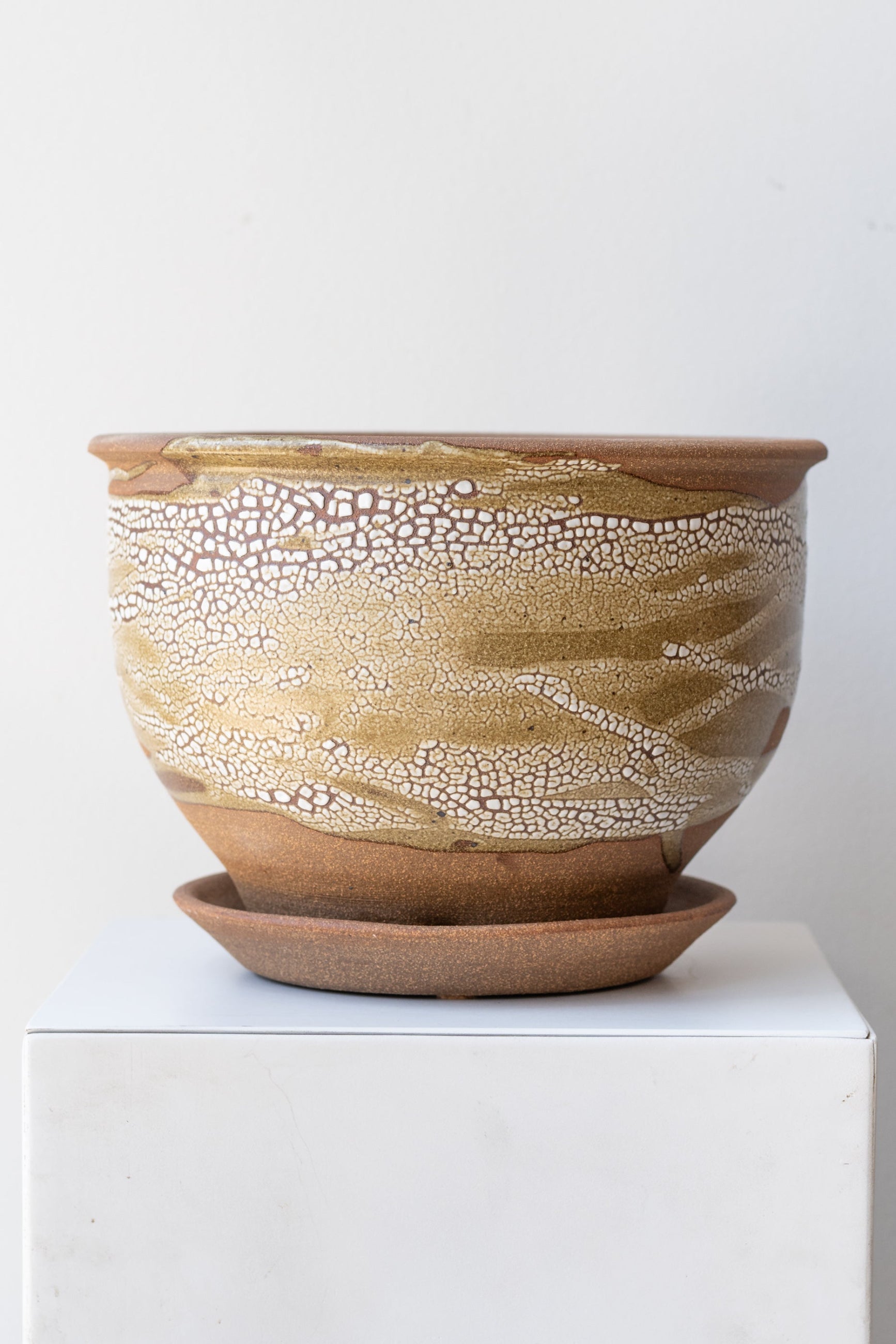 Bruning Pottery Planter super crackle glaze - 8" on a white surface in a white room ©Sprout Home