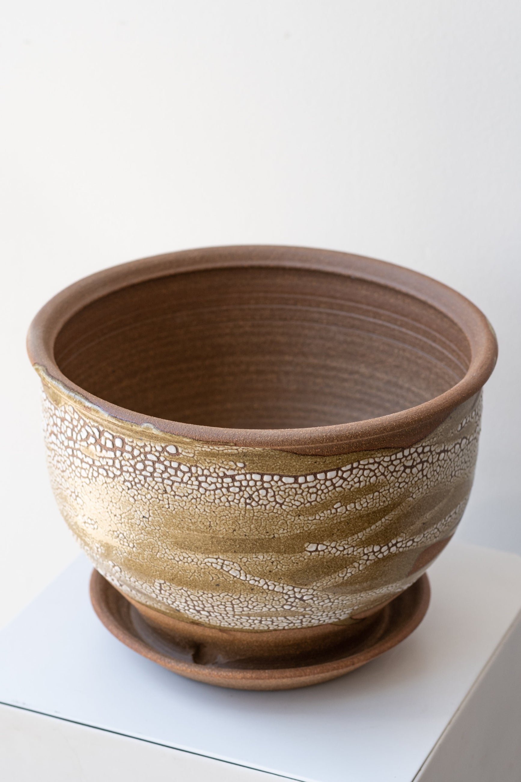 Bruning Pottery Planter super crackle glaze - 8" on a white surface in a white room ©Sprout Home