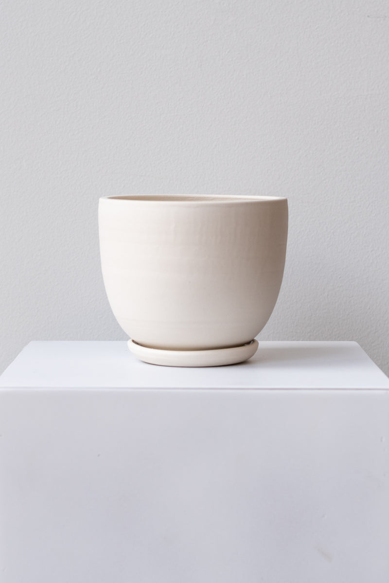 One medium-sized cream colored stoneware planter sits on a white surface in a white room. It is bowl-shaped and sits on a small drainage tray of the same color. The planter is empty. They are photographed straight on.