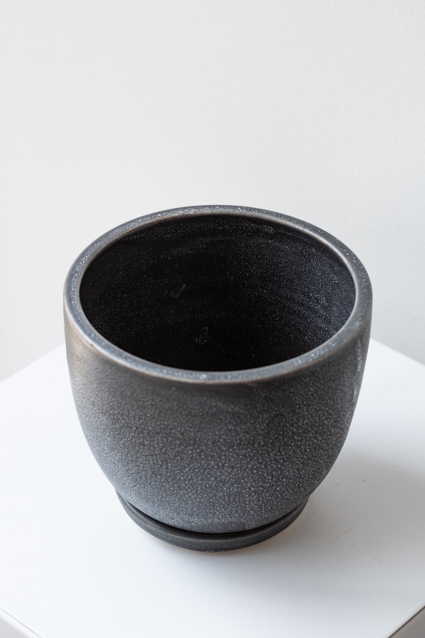 Tabletop cosmos planter on a white backdrop showing the inside from the side ©Sprout Home