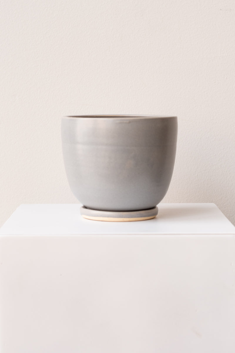 One medium ceramic planter sits on a white surface in a white room. The planter is glazed grey. It sits on a small drainage tray. The planter is empty. It is photographed straight on.