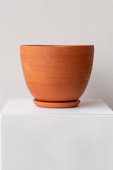One large terra cotta planter sits on a white surface in a white room. The planter sits on a small round drainage tray. The planter is empty. It is photographed straight on.
