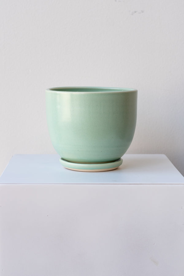 One medium ceramic planter sits on a white surface in a white room. The planter is glazed light blue-green. It sits on a small drainage tray. The planter is empty. It is photographed straight on.