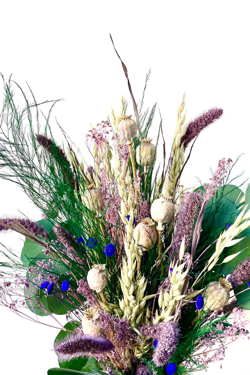 FAICOIA Dried Flowers Bundles Forget Me Not with Stems Natural Dried  Flowers Purple Pink and White Preserved Dried Flowers Bouquet for Floral