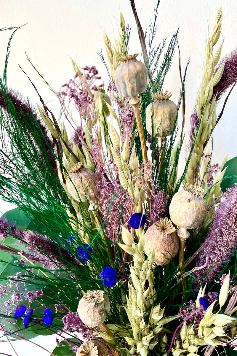 A close-up view of Plum Fizz Preserved floral arrangement by Sprout Home against a white backdrop
