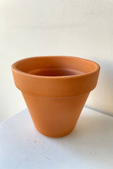 Details of Clay Standard Pot Terracotta 5.9" against a white wall