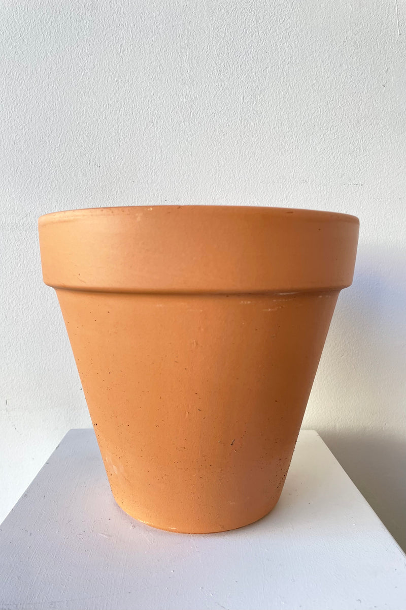 Clay Standard Pot Terracotta 8.3" against a white wall