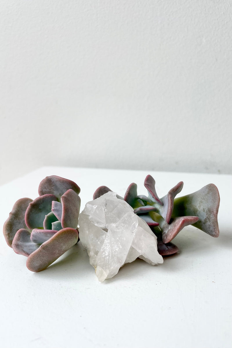 Clear quartz cluster with succulents  on white surface in front of grey background